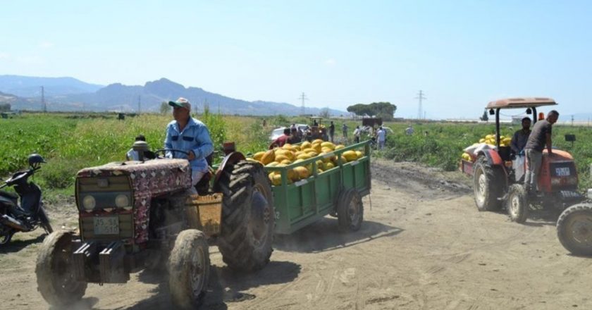 “Bize verdikleri fiyat baş belası” dedi: 600 ton kavun ve karpuzu bedava dağıttı – Son Dakika Türkiye Haberleri