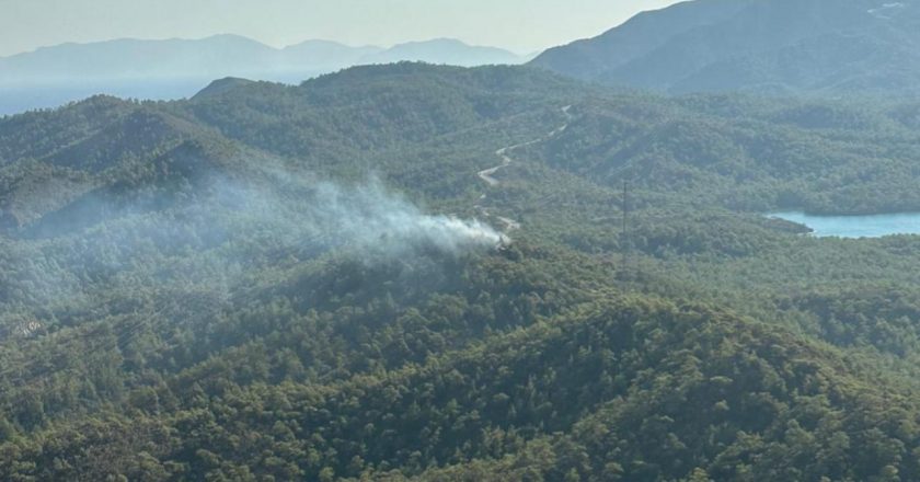 Muğla'da orman yangını – Son haberler