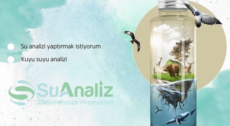 Kuyu Suyu Analiz Sonuçlarınızı Nasıl Yorumlamalısınız?