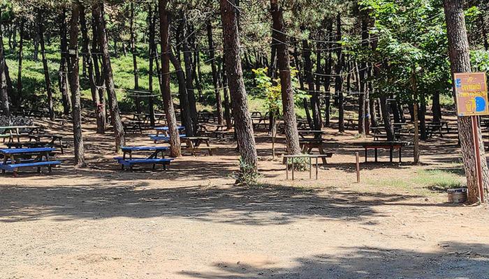İstanbul valiliği açıkladı: Orman yangınlarına karşı önleme! O anda yasaklanan girdiler