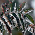 Tarım Üreticilerine 22,9 Milyar Lira Don Desteği!